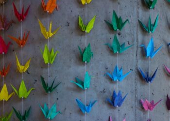 El arte del papel: transforma tu mundo con origami, tarjetas y más