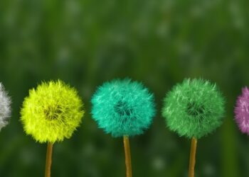 Scrapbooking: Crea recuerdos inolvidables con tus propias manos