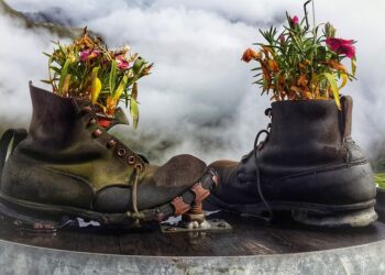 Transforma tu basura en tesoro: Reciclaje creativo para todos