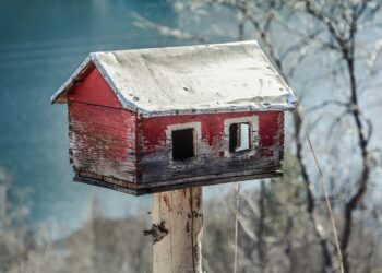 Transforma tu hogar con ideas creativas de decoración