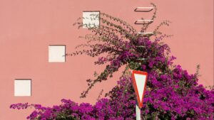 Jardín vertical DIY con palets: cómo construir una pared de plantas paso a paso