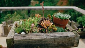 Cómo hacer macetas con materiales reciclados: 10 ideas creativas para tu jardín y terraza
