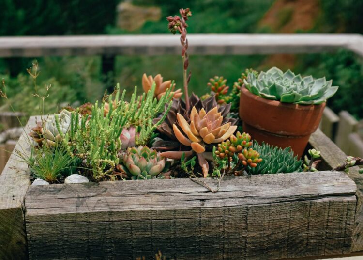Cómo hacer macetas con materiales reciclados: 10 ideas creativas para tu jardín y terraza