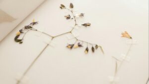 Cómo hacer joyería con resina UV paso a paso: pendientes, anillos y colgantes únicos