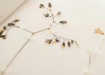 Cómo hacer joyería con resina UV paso a paso: pendientes, anillos y colgantes únicos