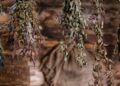 Ramilletes colgados boca abajo para secar flores en casa y conservarlas como decoración