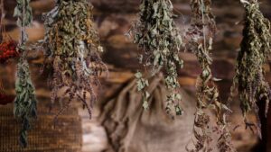 Cómo secar flores: 5 métodos paso a paso